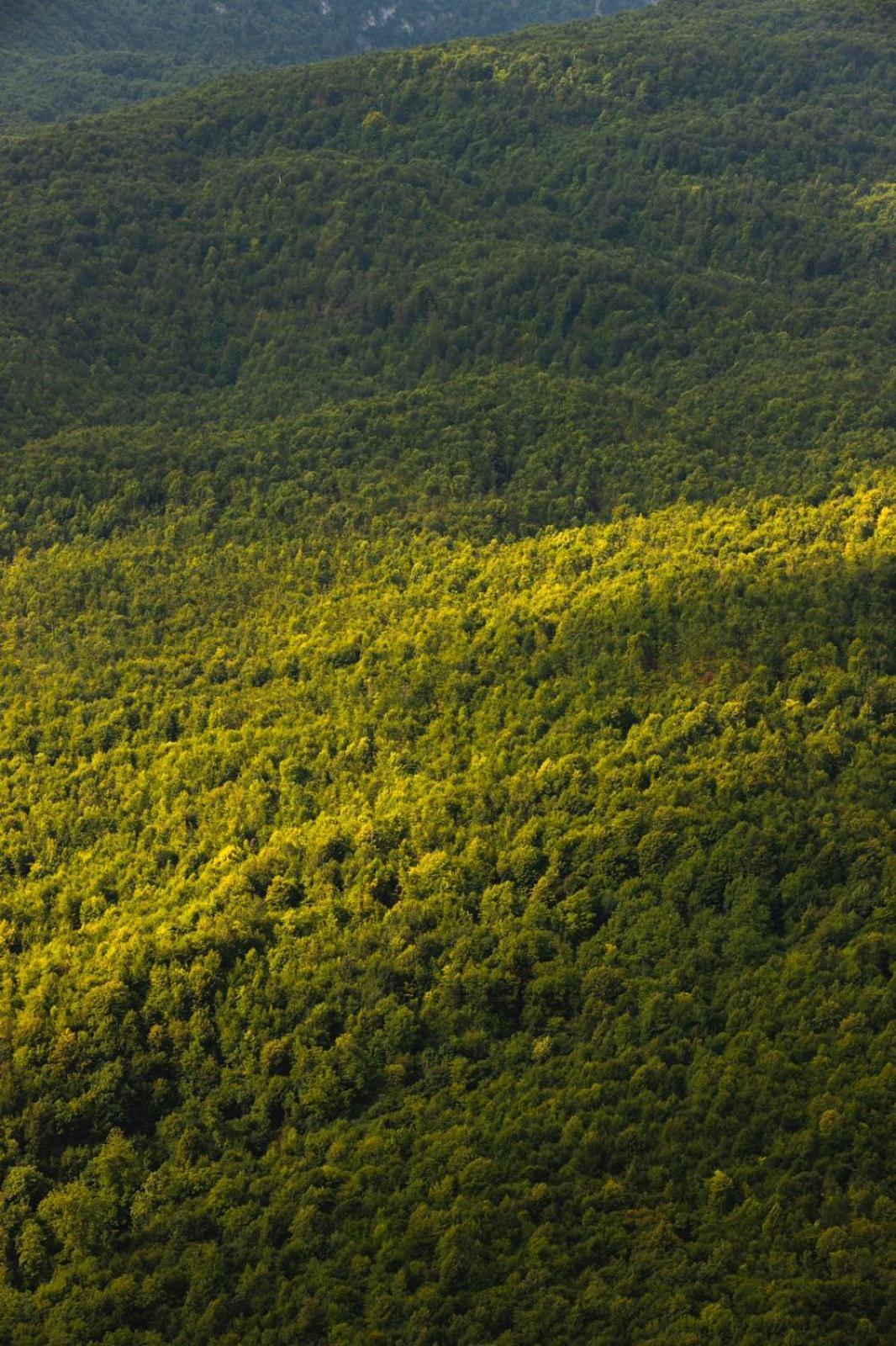 Lastiver Resort Yenokavan Bagian luar foto